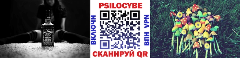 Псилоцибиновые грибы Cubensis Пойковский